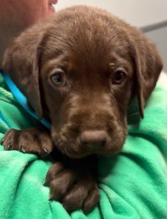 We had a little special guest at our event...