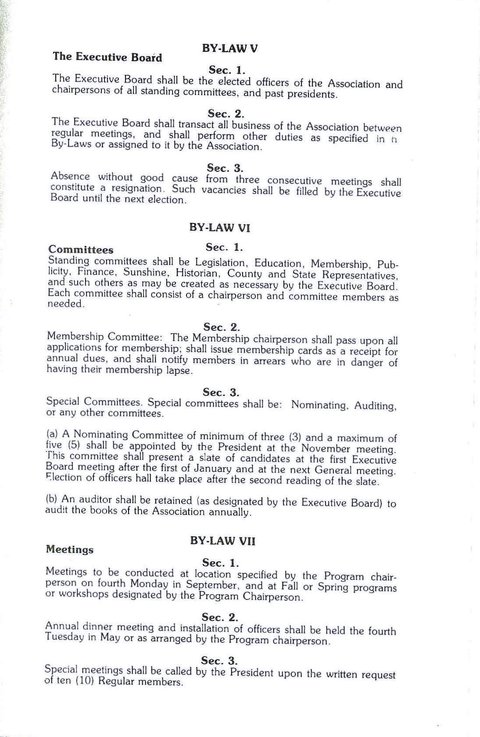 1980s Bylaws V
